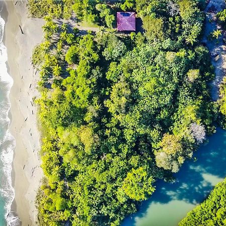 Punta Preciosa Bed & Breakfast Puerto Jimenez Bagian luar foto