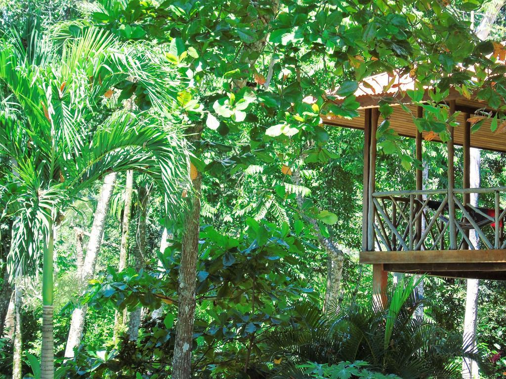 Punta Preciosa Bed & Breakfast Puerto Jimenez Bagian luar foto