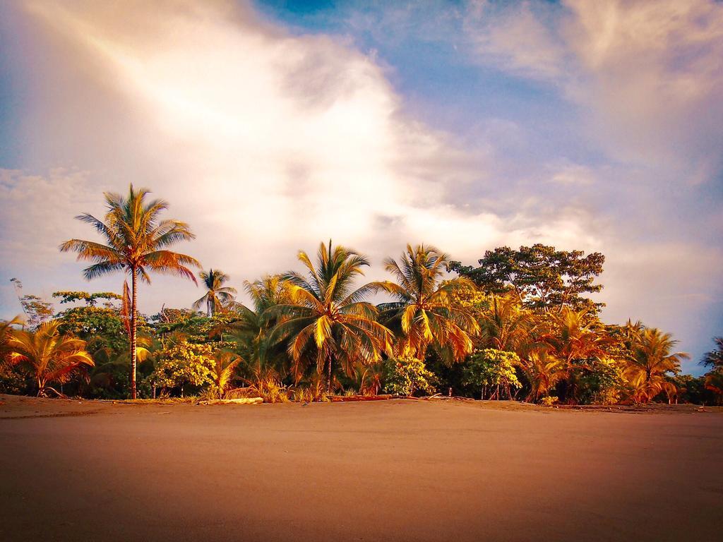 Punta Preciosa Bed & Breakfast Puerto Jimenez Bagian luar foto