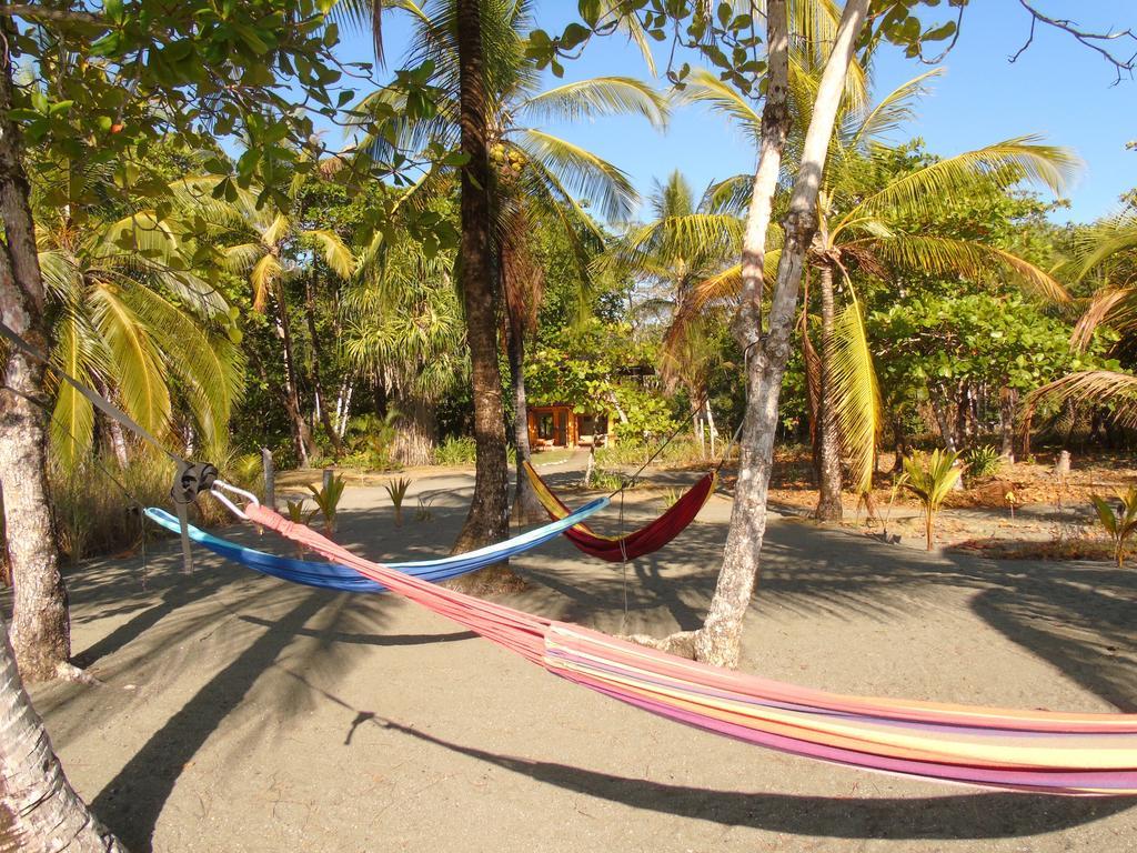 Punta Preciosa Bed & Breakfast Puerto Jimenez Bagian luar foto