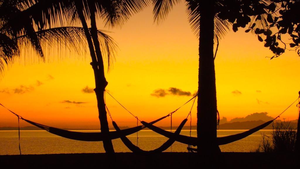 Punta Preciosa Bed & Breakfast Puerto Jimenez Bagian luar foto