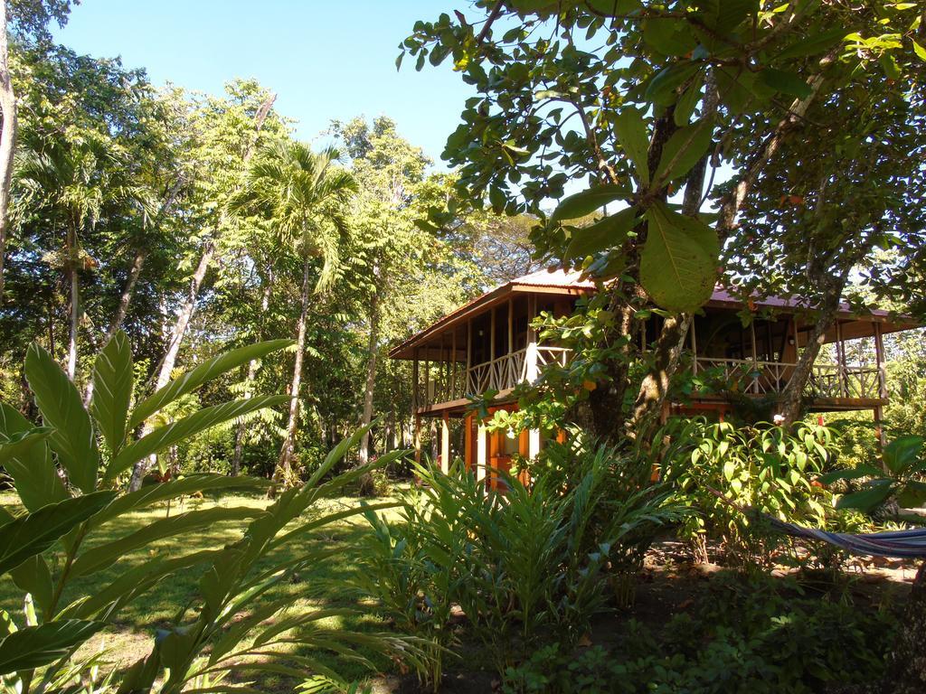 Punta Preciosa Bed & Breakfast Puerto Jimenez Bagian luar foto