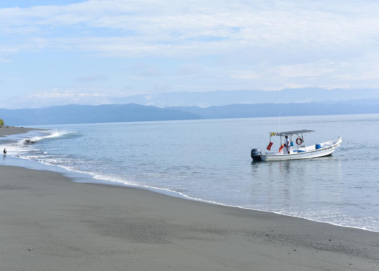 Punta Preciosa Bed & Breakfast Puerto Jimenez Bagian luar foto