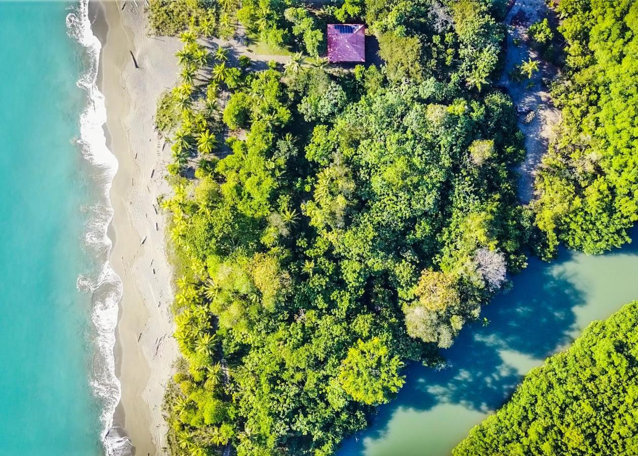 Punta Preciosa Bed & Breakfast Puerto Jimenez Bagian luar foto